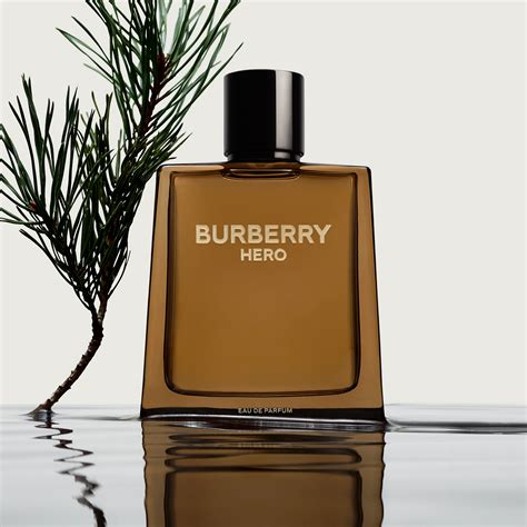 best burberry mens cologne